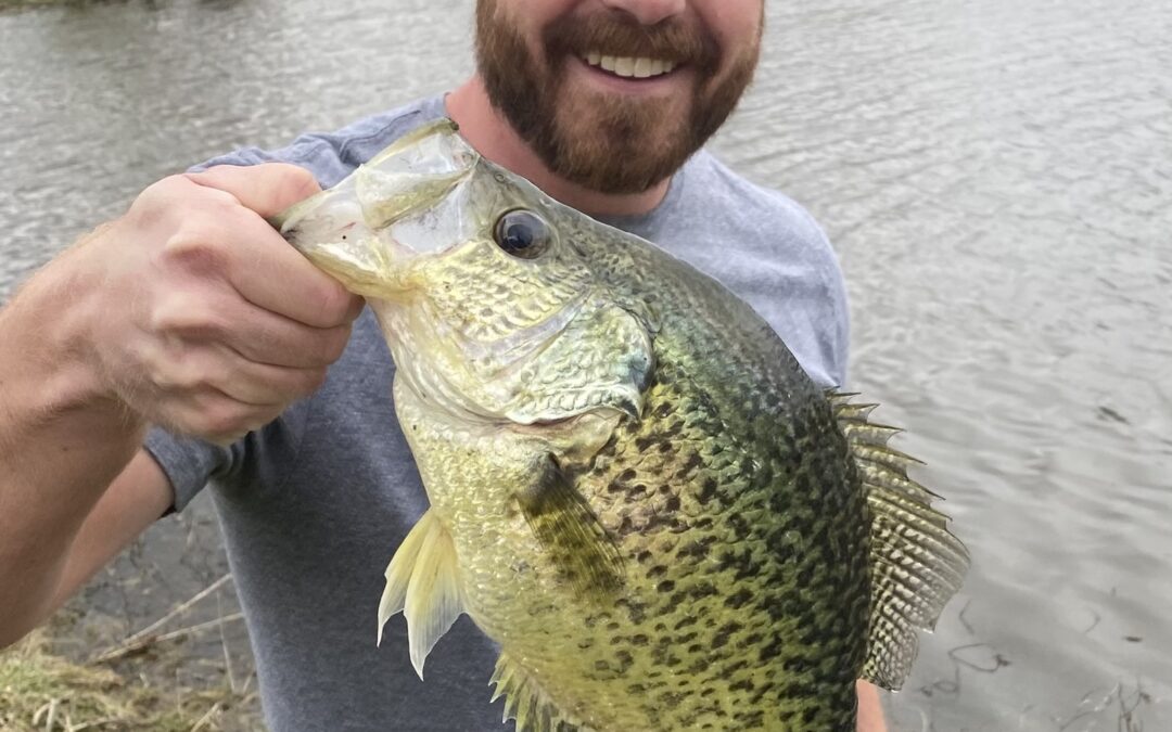 The Best Crappie Bait Slabs Can’t Resist