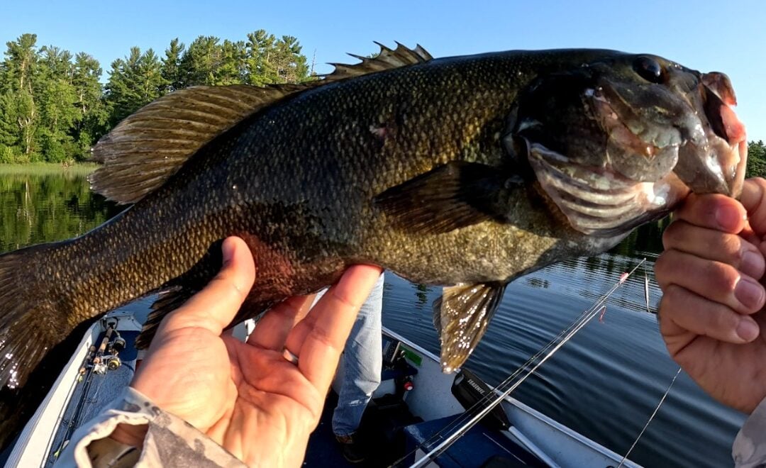 Topwater Dreams in the Boundary Waters